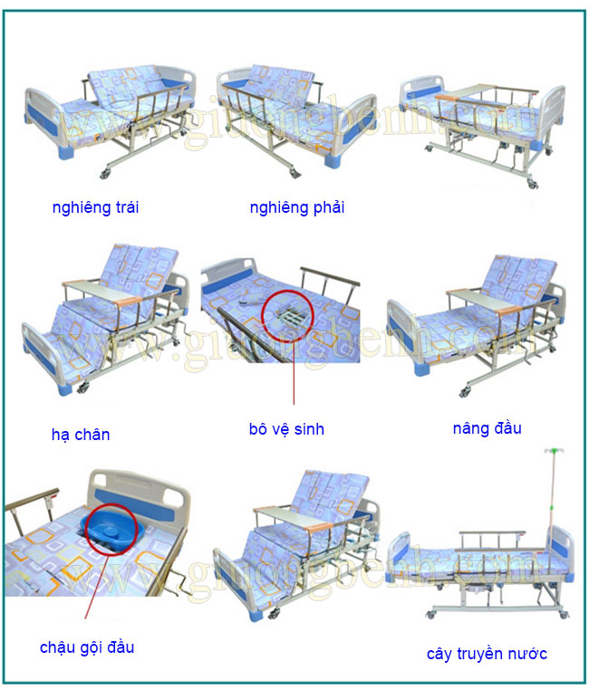 Giường Nikita DCN04